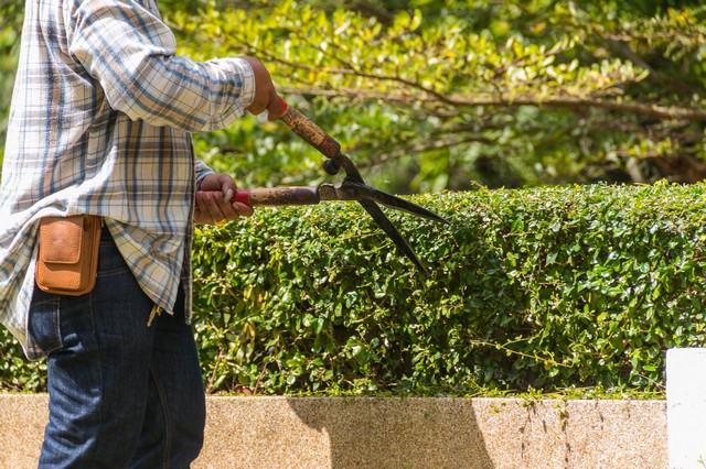 Garden Maintenance Bromley-by-Bow, Bow, E3